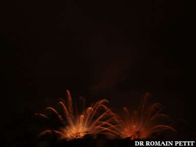 Photo 240820062215a 